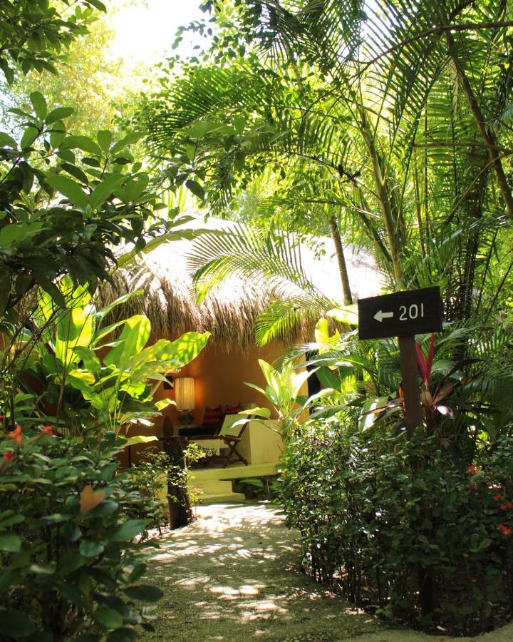 Piedra De Agua Palenque Hotel Exterior photo